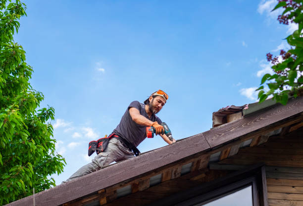 Best Rubber Roofing (EPDM, TPO)  in Ithaca, MI