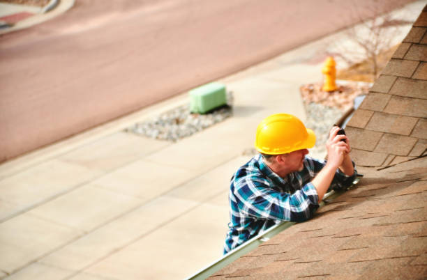 Best Chimney Flashing Repair  in Ithaca, MI