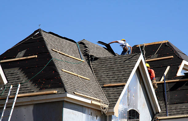 Best Asphalt Shingles Roofing  in Ithaca, MI